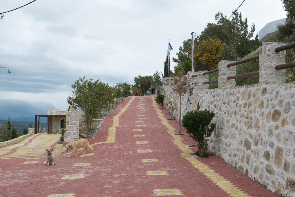 קלמאקי Villas Alexandros Petrino חדר תמונה